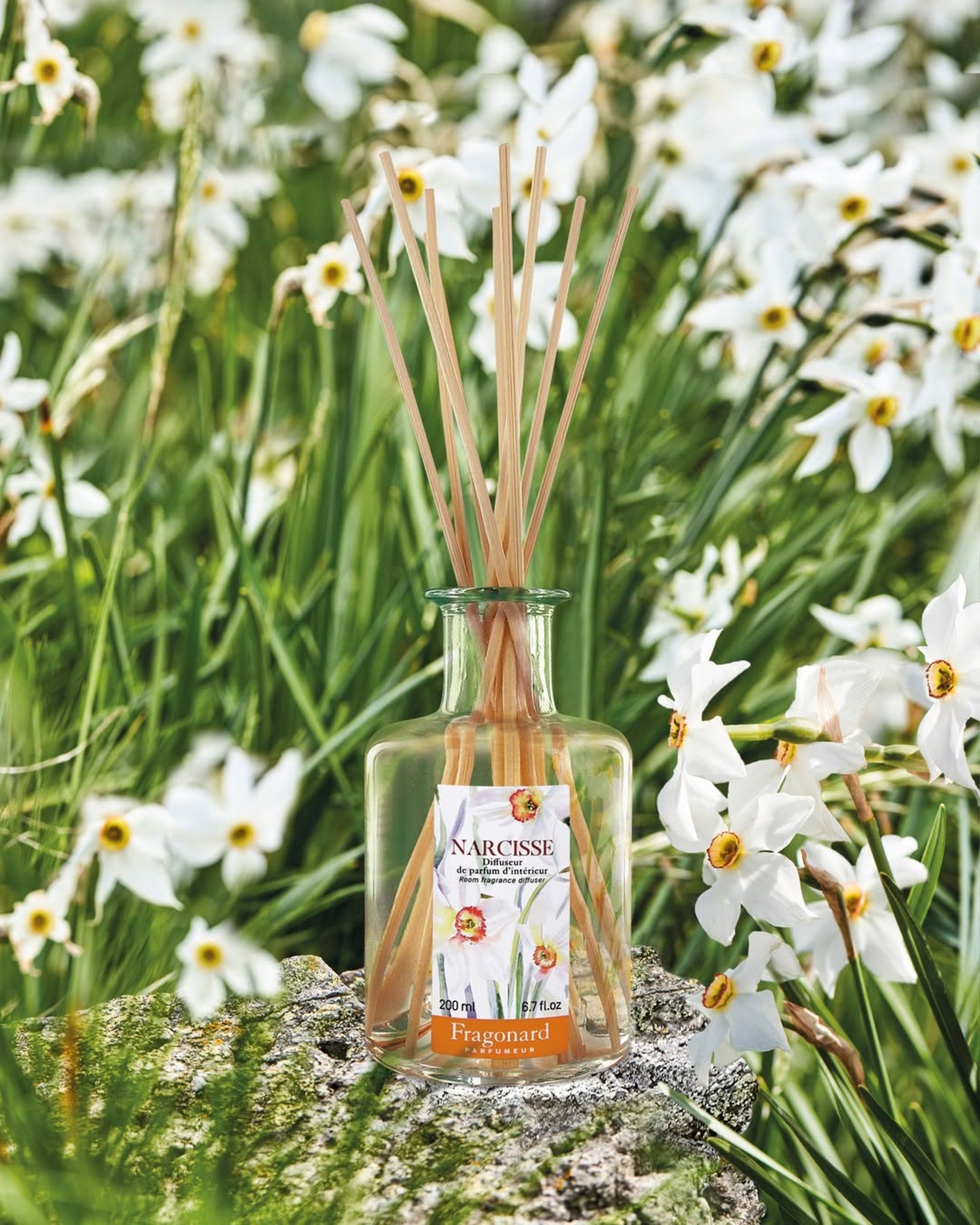 FRAGONARD NARCISSE DIFFUSORE
