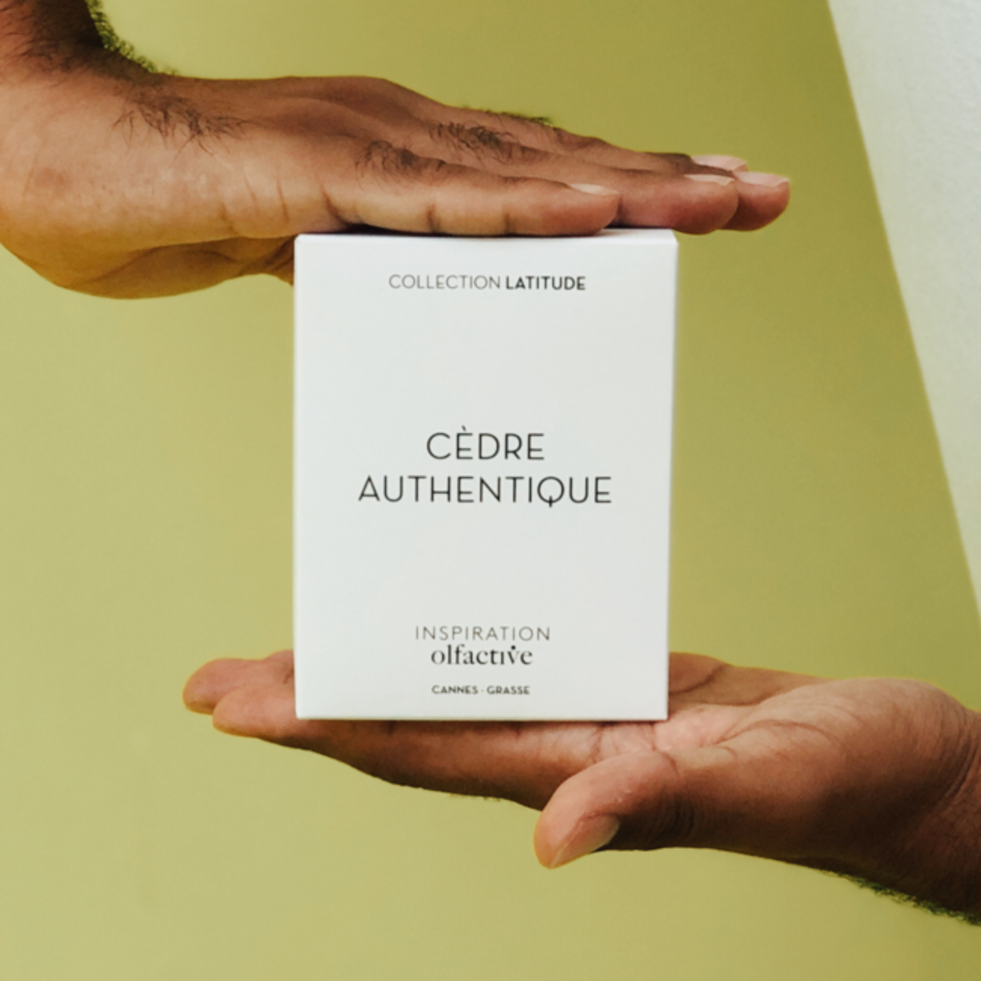 IO Authentic Cedar Edp 50ML