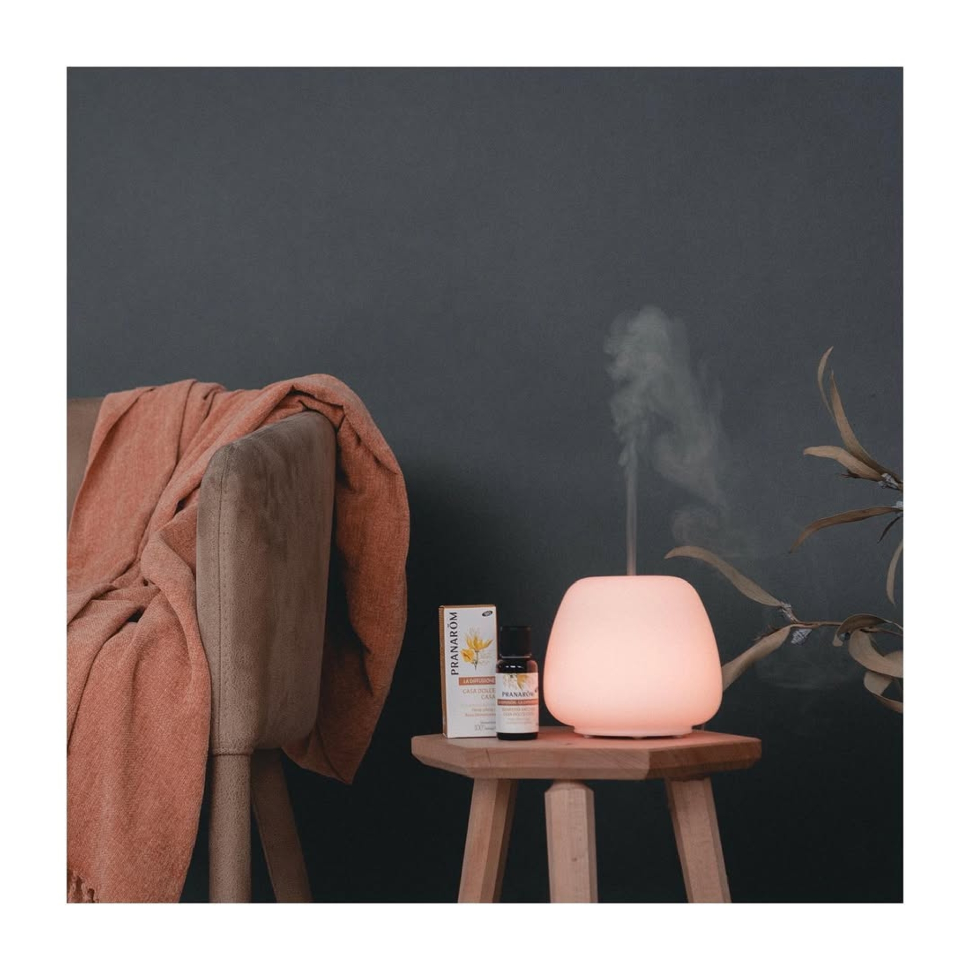 PRANAROM DIFFUSORE JOY 